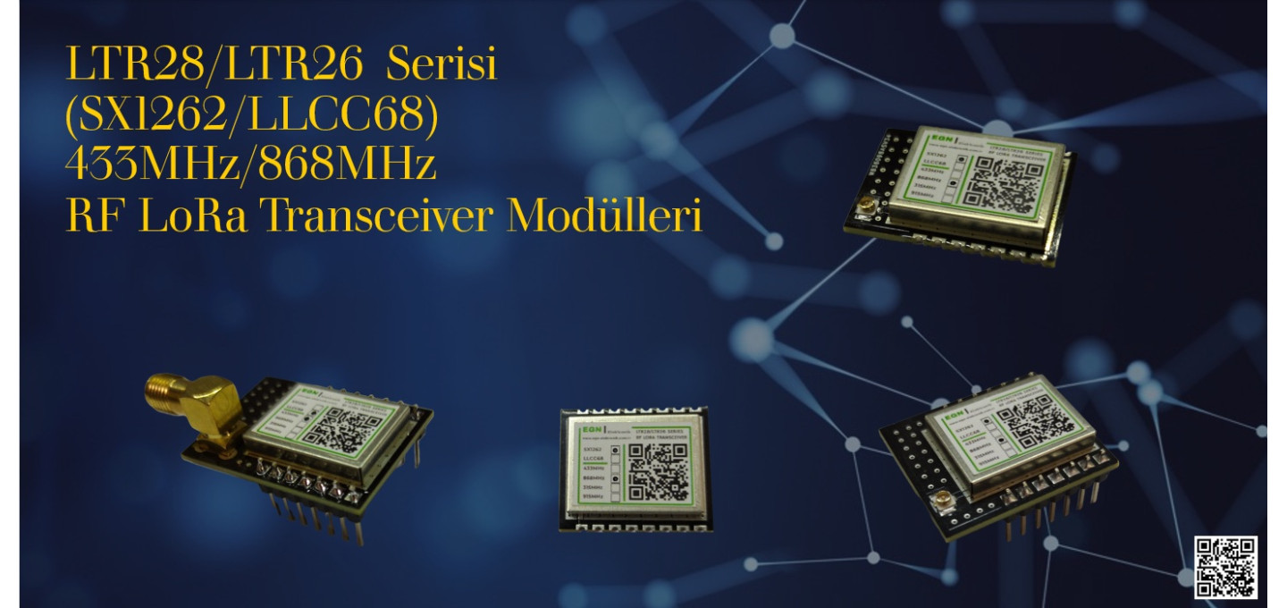 EGN LTR Serisi RF LoRa Transceiver Modülleri