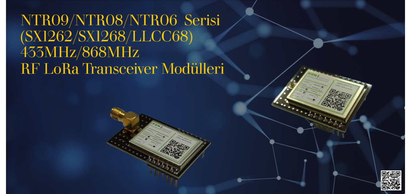 EGN NTR Serisi RF LoRa Transceiver Modülleri